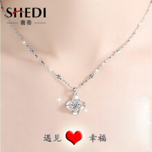 個(gè)性銀項(xiàng)鏈 價(jià)格、品牌與選購指南